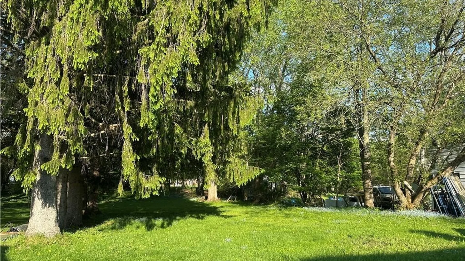 Property at 115-117 Spring Street, Concord, NY 14141 11