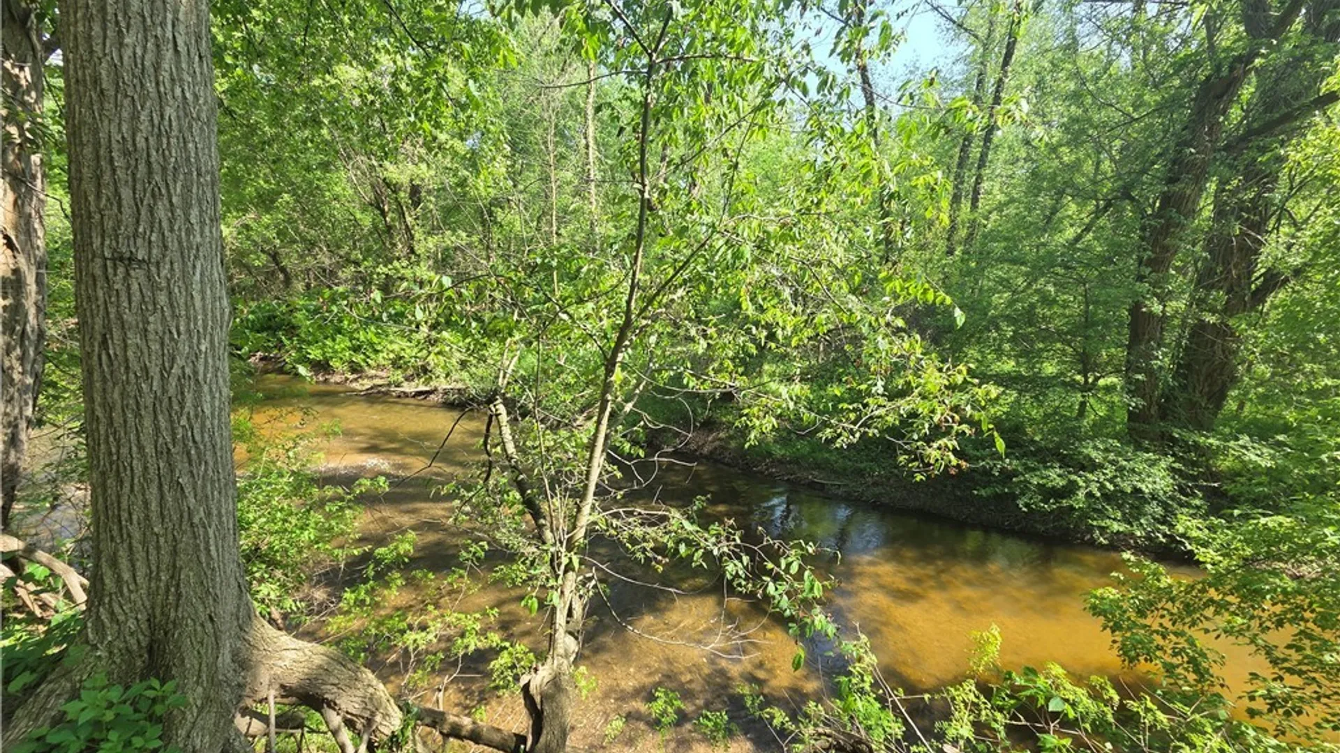 Property at 10246 Mill Road, Ridgeway, NY 14103 32