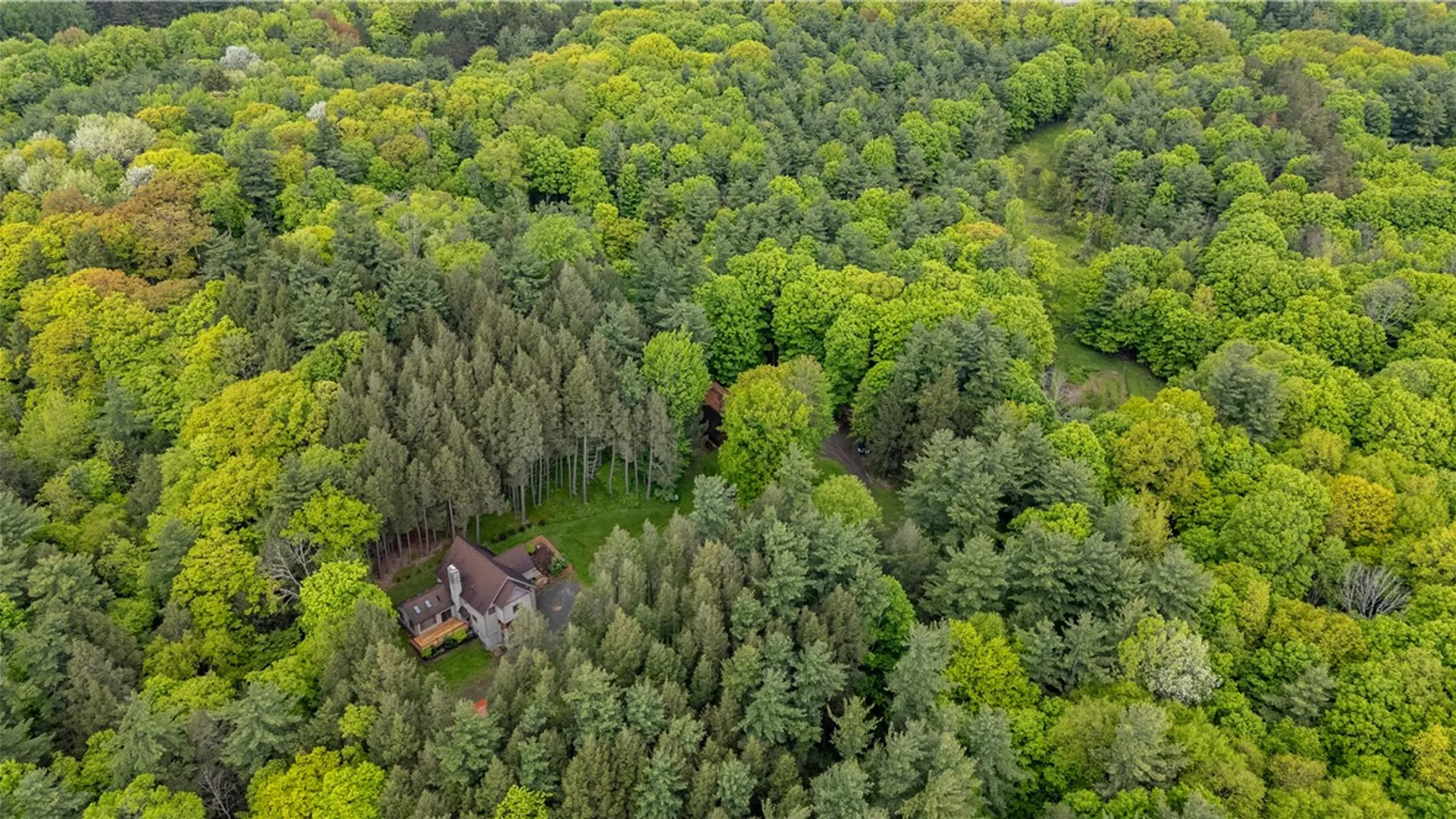 Property at 7223 Clement Road, Naples, NY 14512 13