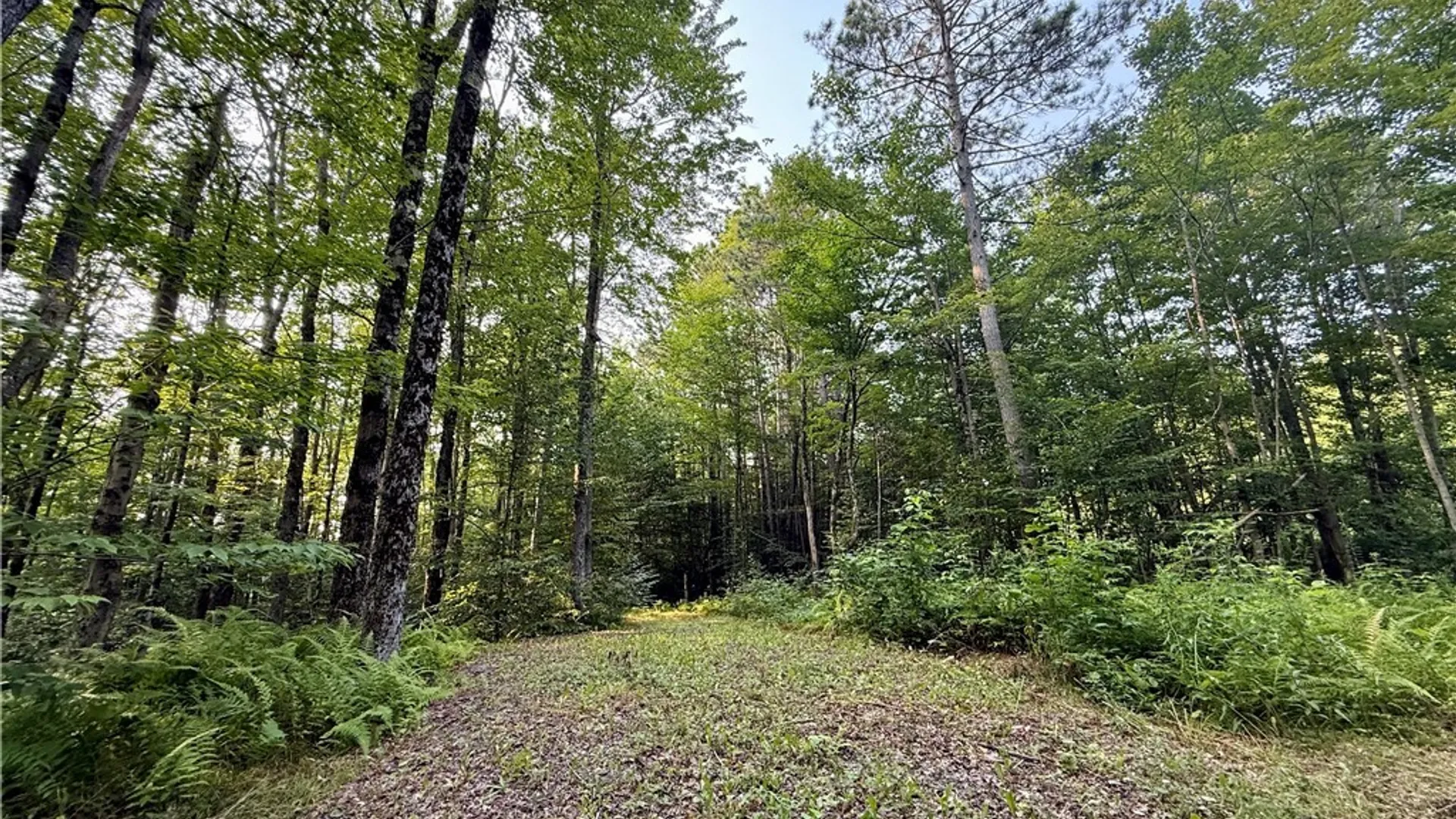 Property at 11470 River Road, Florence, NY 13316 3