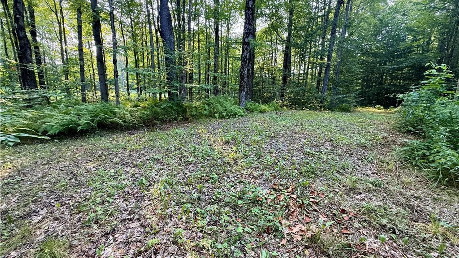 Property at 11470 River Road, Florence, NY 13316 4