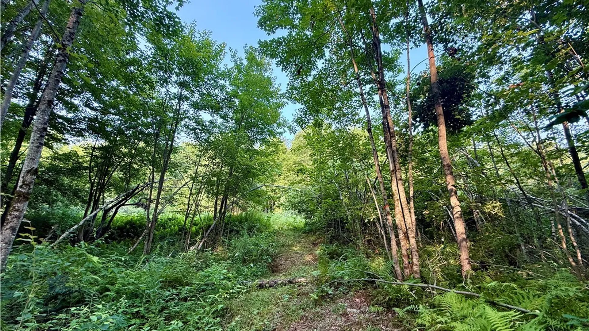 Property at 11470 River Road, Florence, NY 13316 5