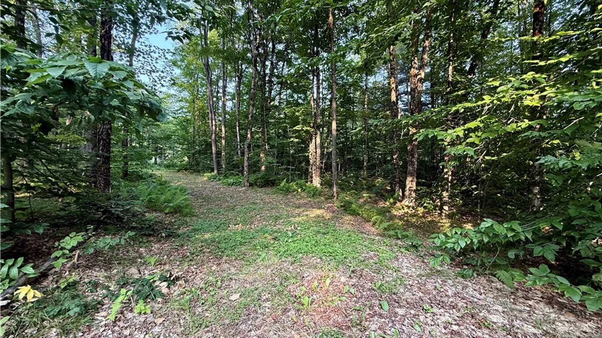 Property at 11470 River Road, Florence, NY 13316 6