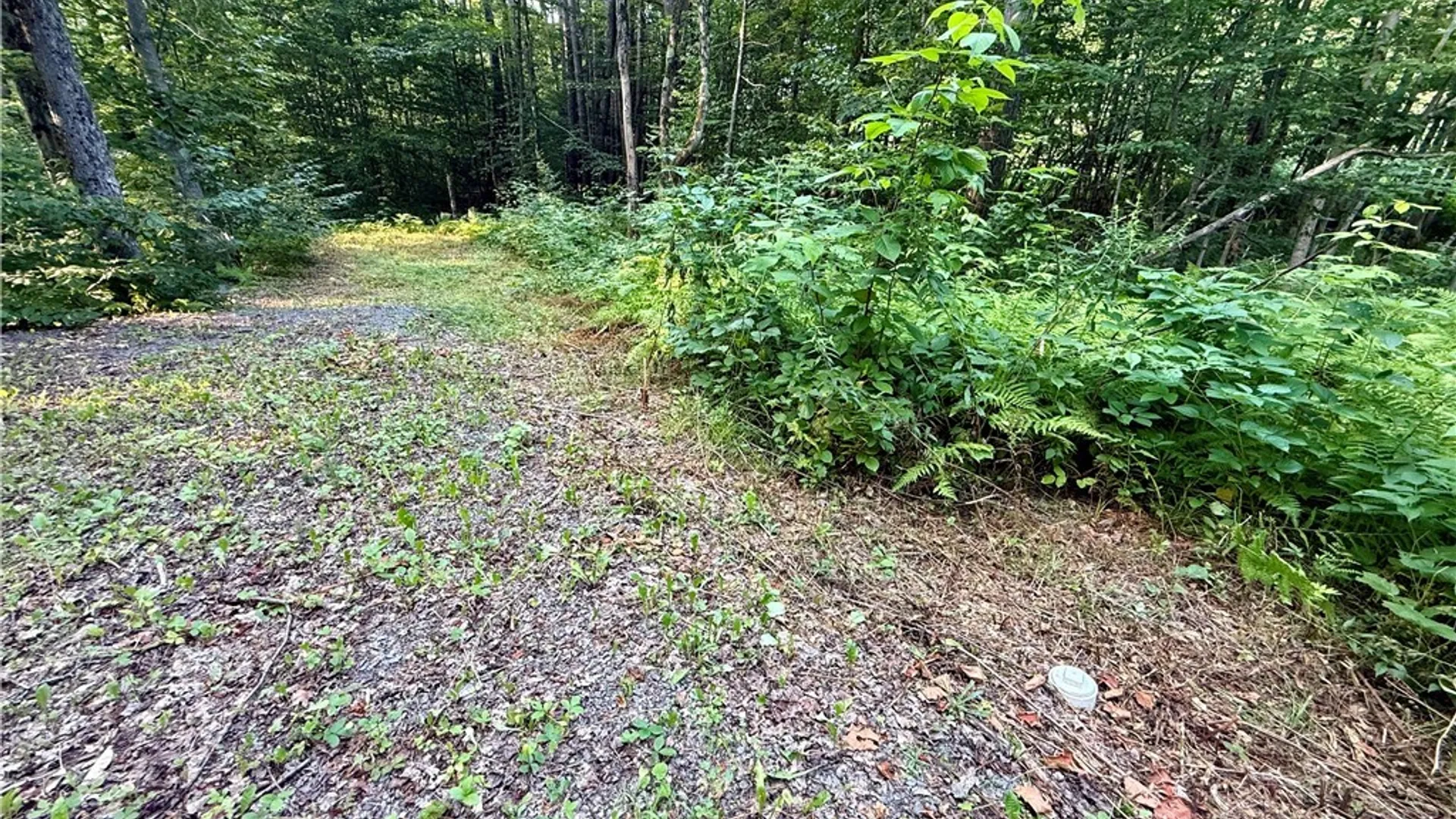 Property at 11470 River Road, Florence, NY 13316 7