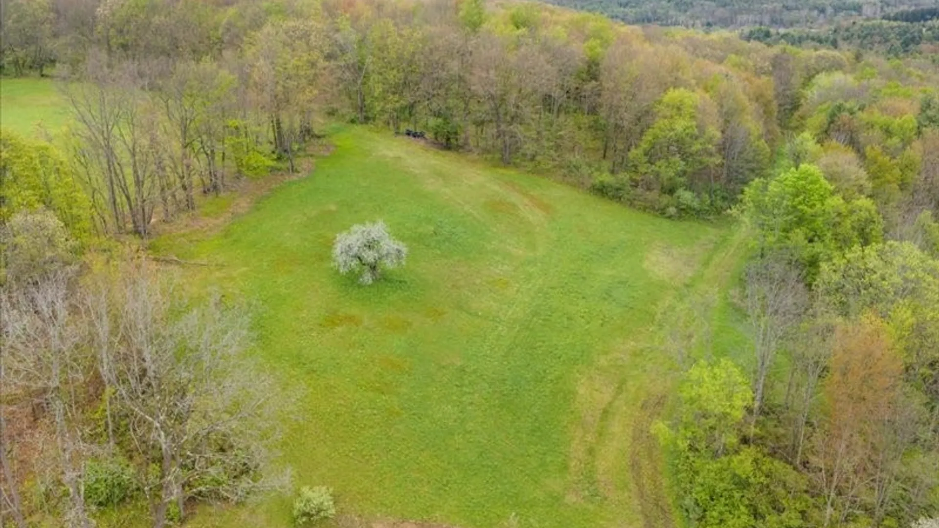 Property at 1049 Old State Road, Kirkwood, NY 13904 36