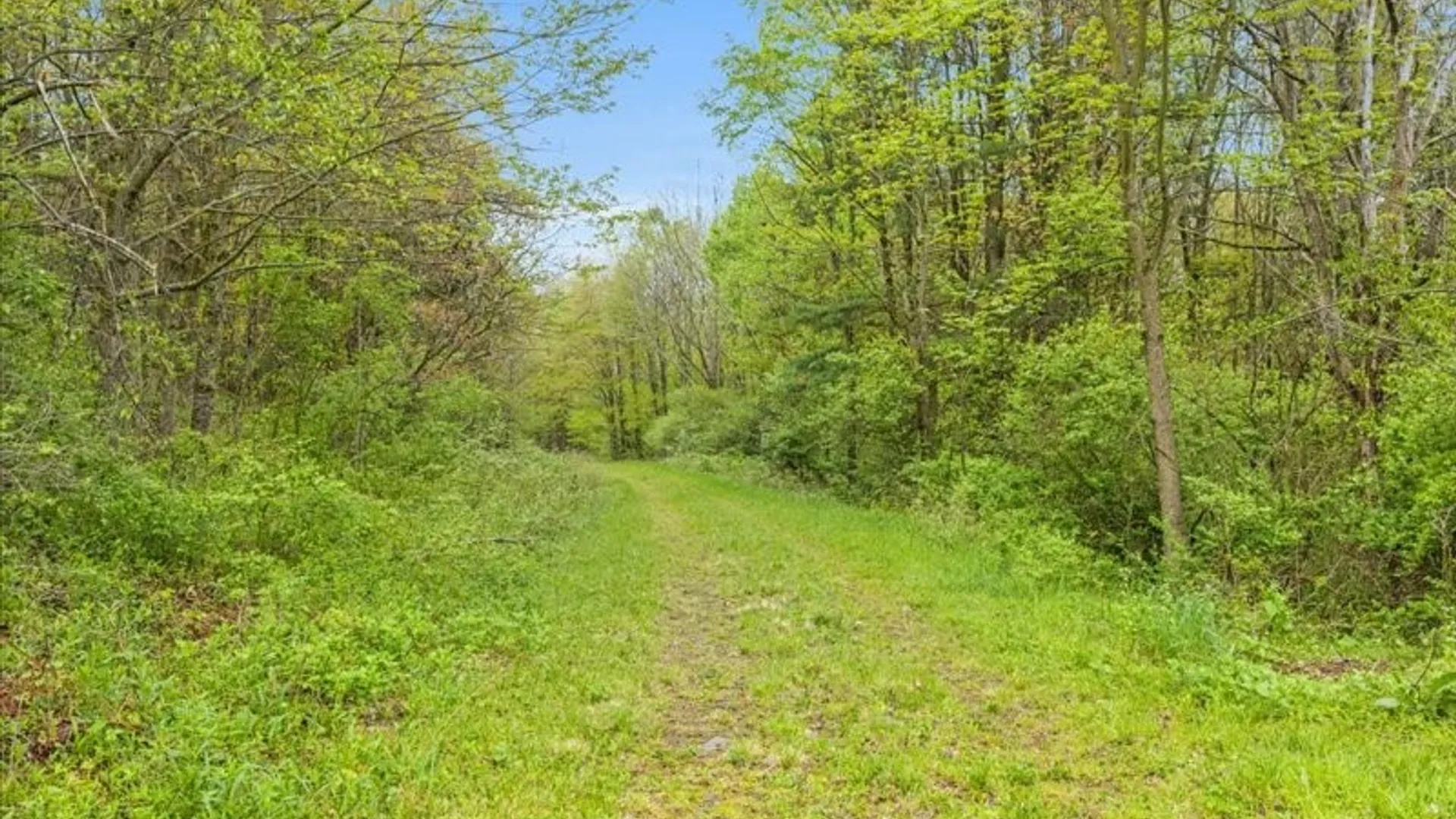 Property at 1049 Old State Road, Kirkwood, NY 13904 37