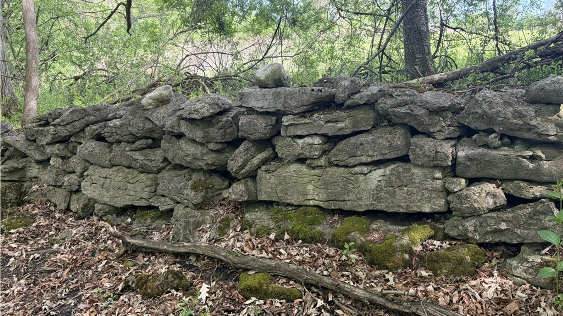 Property at 200 Spring Street, Caledonia, NY 14423 13