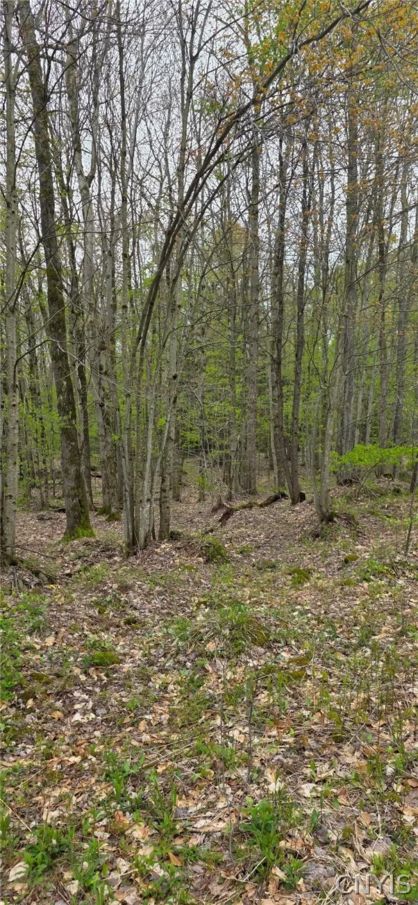 Property at Steelhead Lane, Williamstown, NY 13493