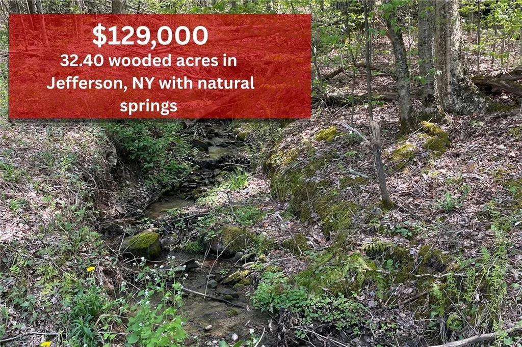 Property at 1-20 Sternberg Road, Jefferson, NY 12093