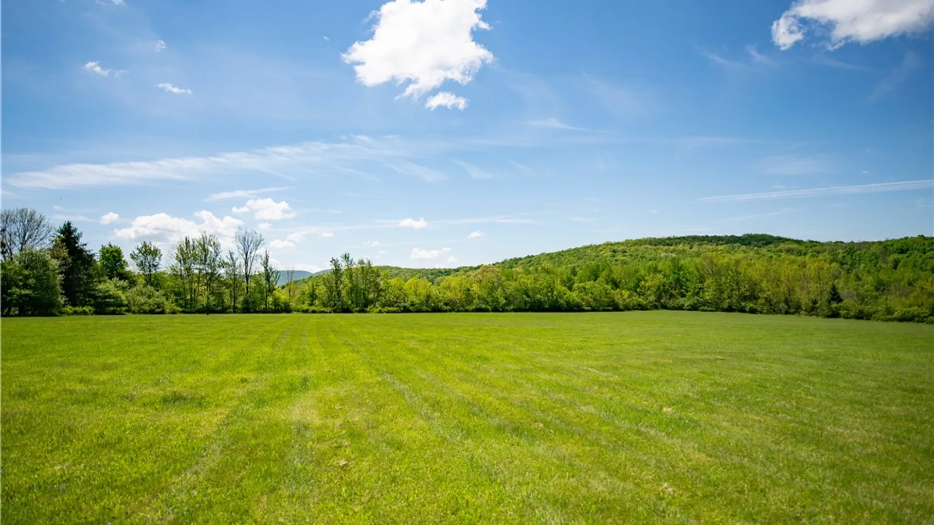 Property at 1295 Alameda Road, Kortright, NY 13788 33