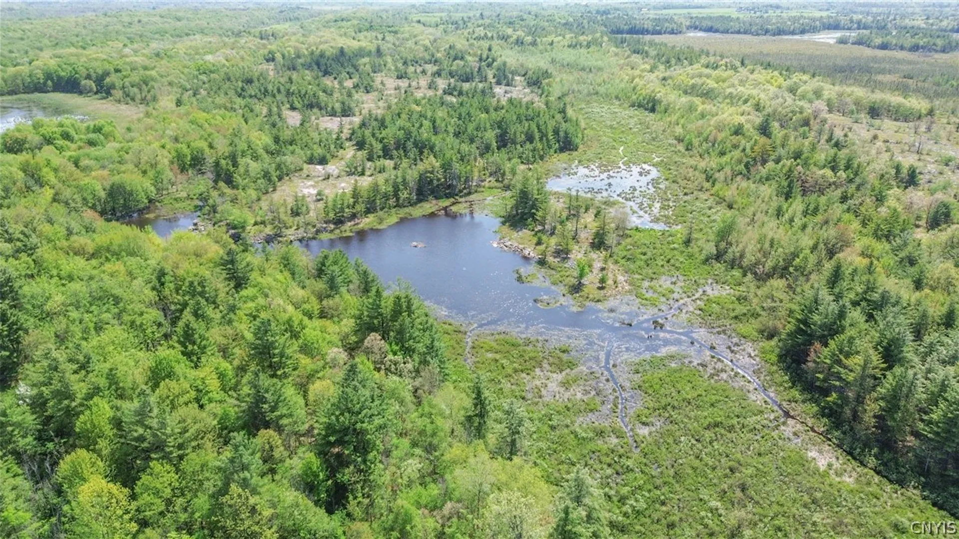 Property at 39245 Hyde Lake Road, Theresa, NY 13691 19