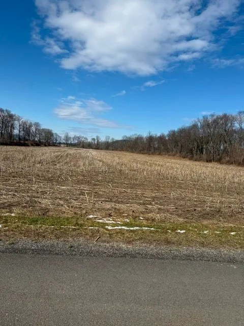 Property at 22 Brooks St, Lot C, Spencer, NY 14883