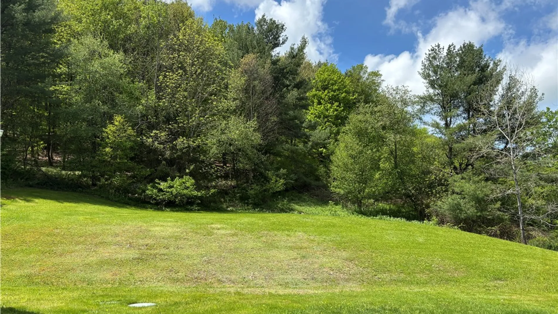 Property at 15114 State Highway 206, Walton, NY 13856 37
