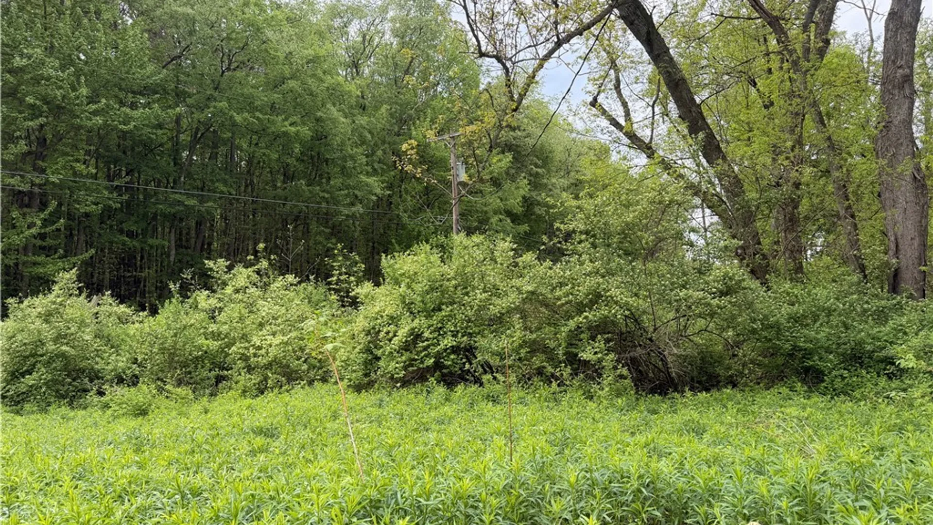 Property at 13870 Miller Avenue, Sardinia, NY 14030 20
