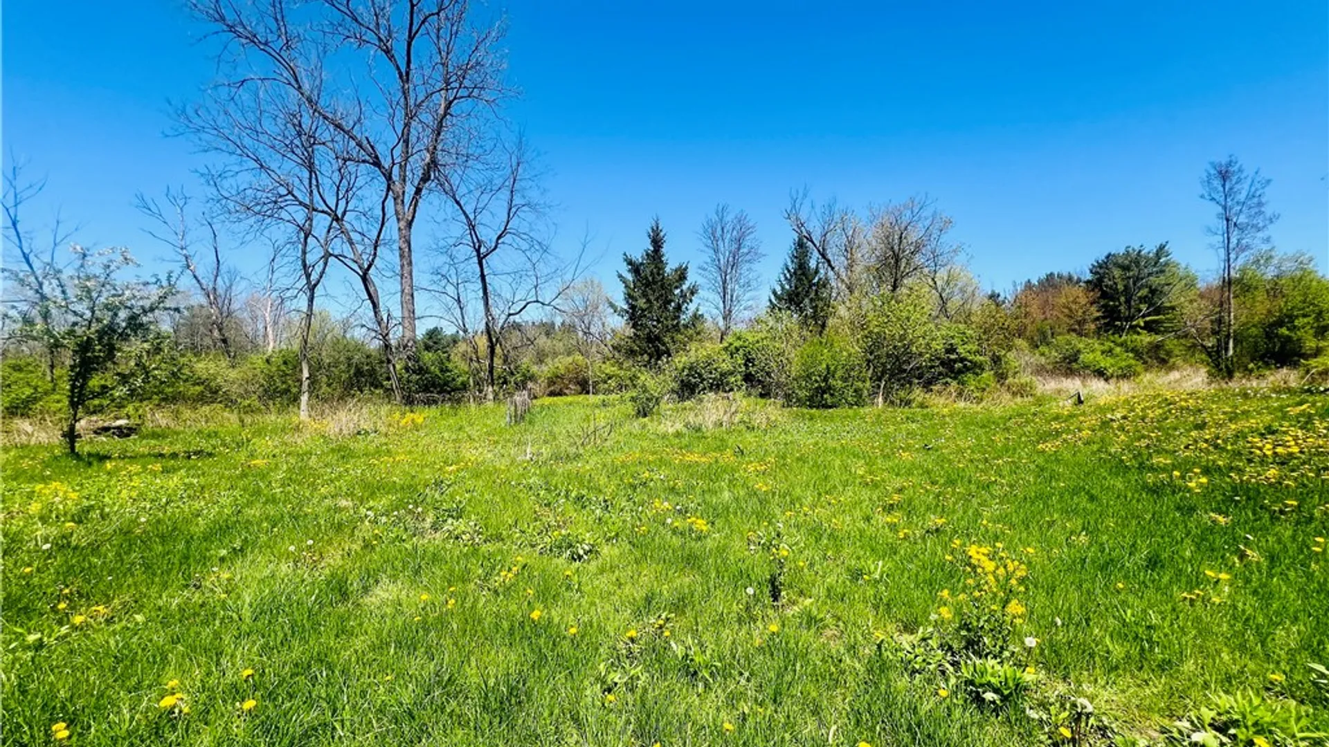 Property at 318 Asbury Road, Lansing, NY 13068 10
