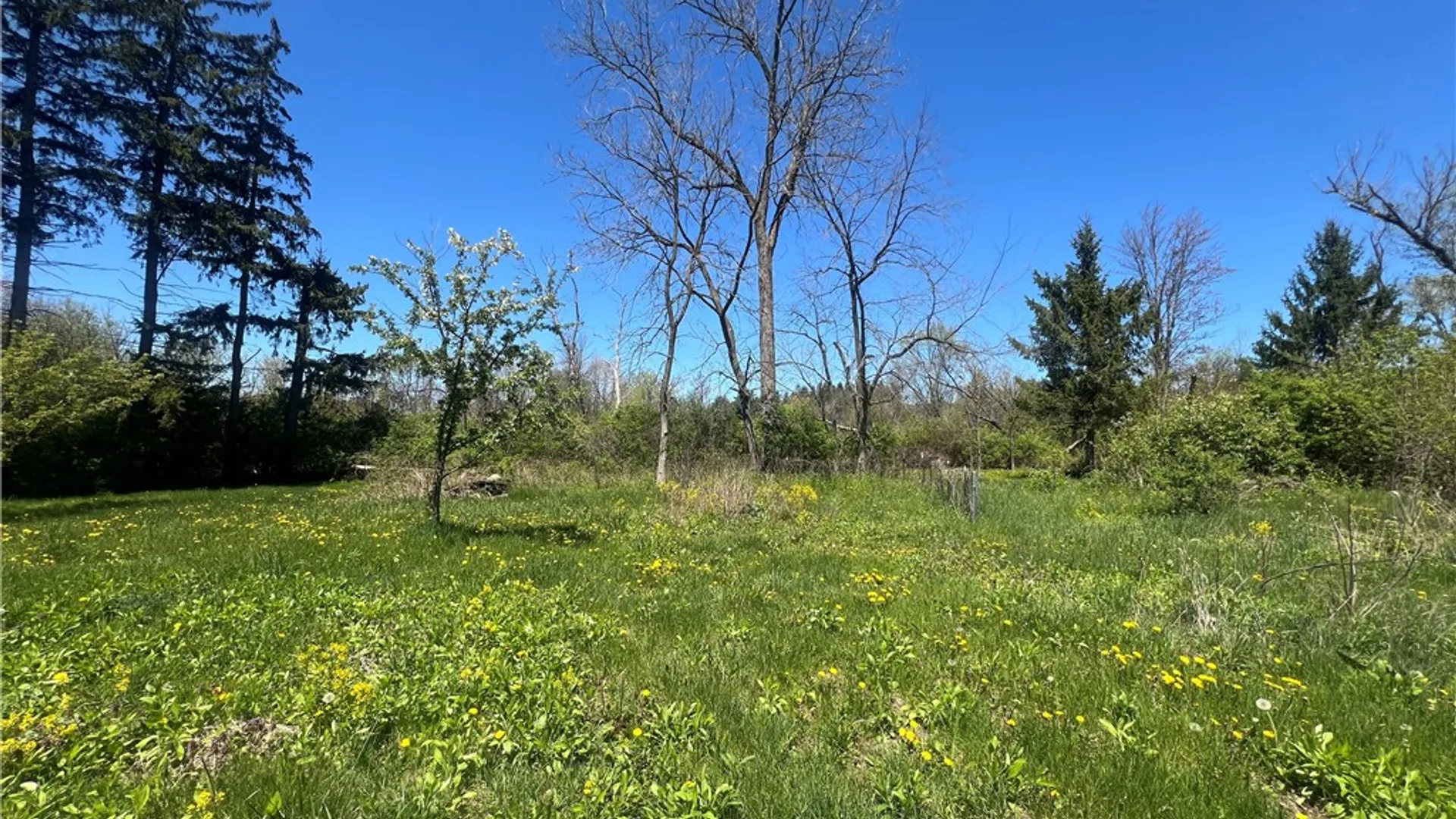 Property at 318 Asbury Road, Lansing, NY 13068 18