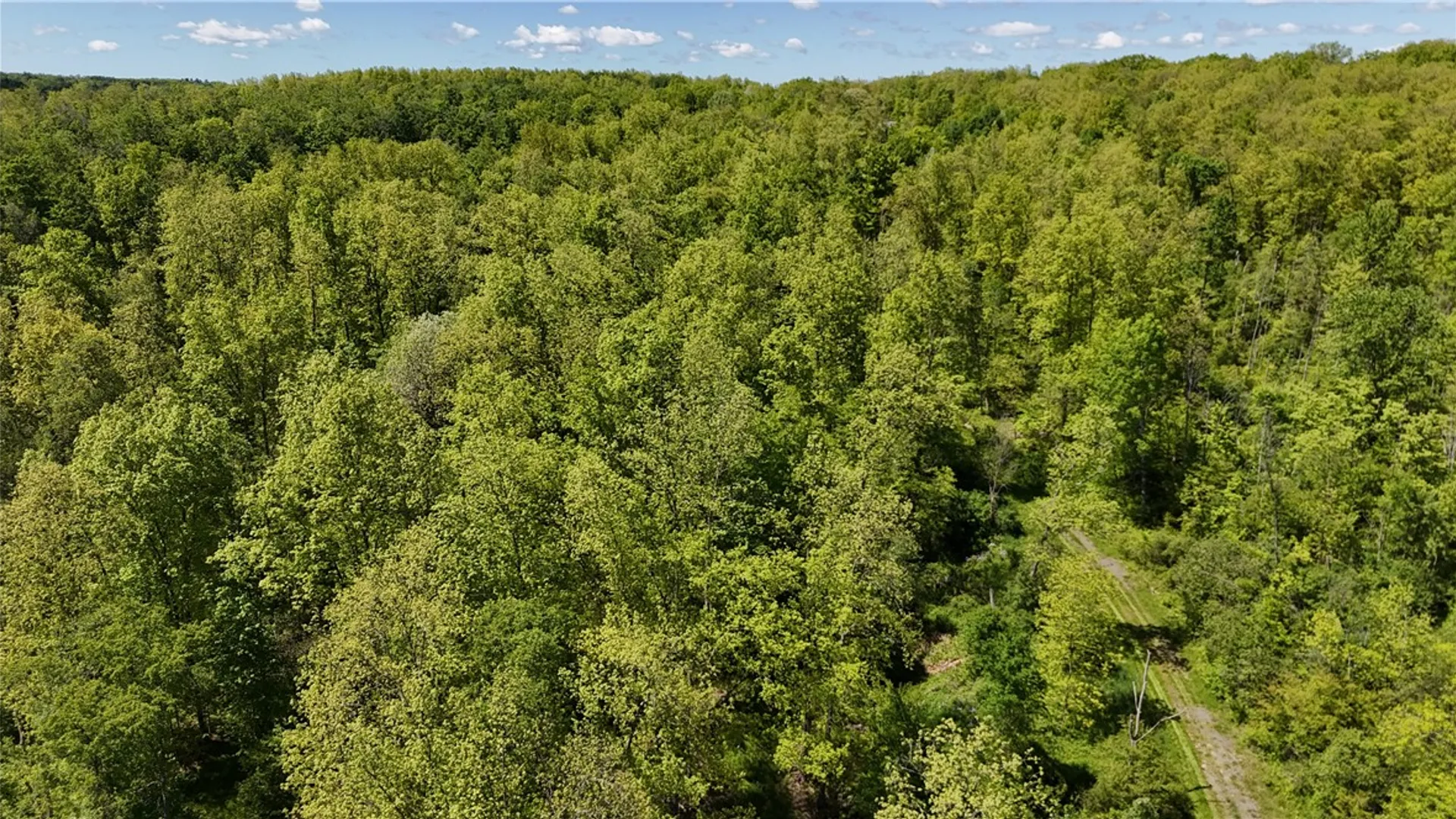 Property at 1645 Forest Avenue Extension, Busti, NY 14701 15