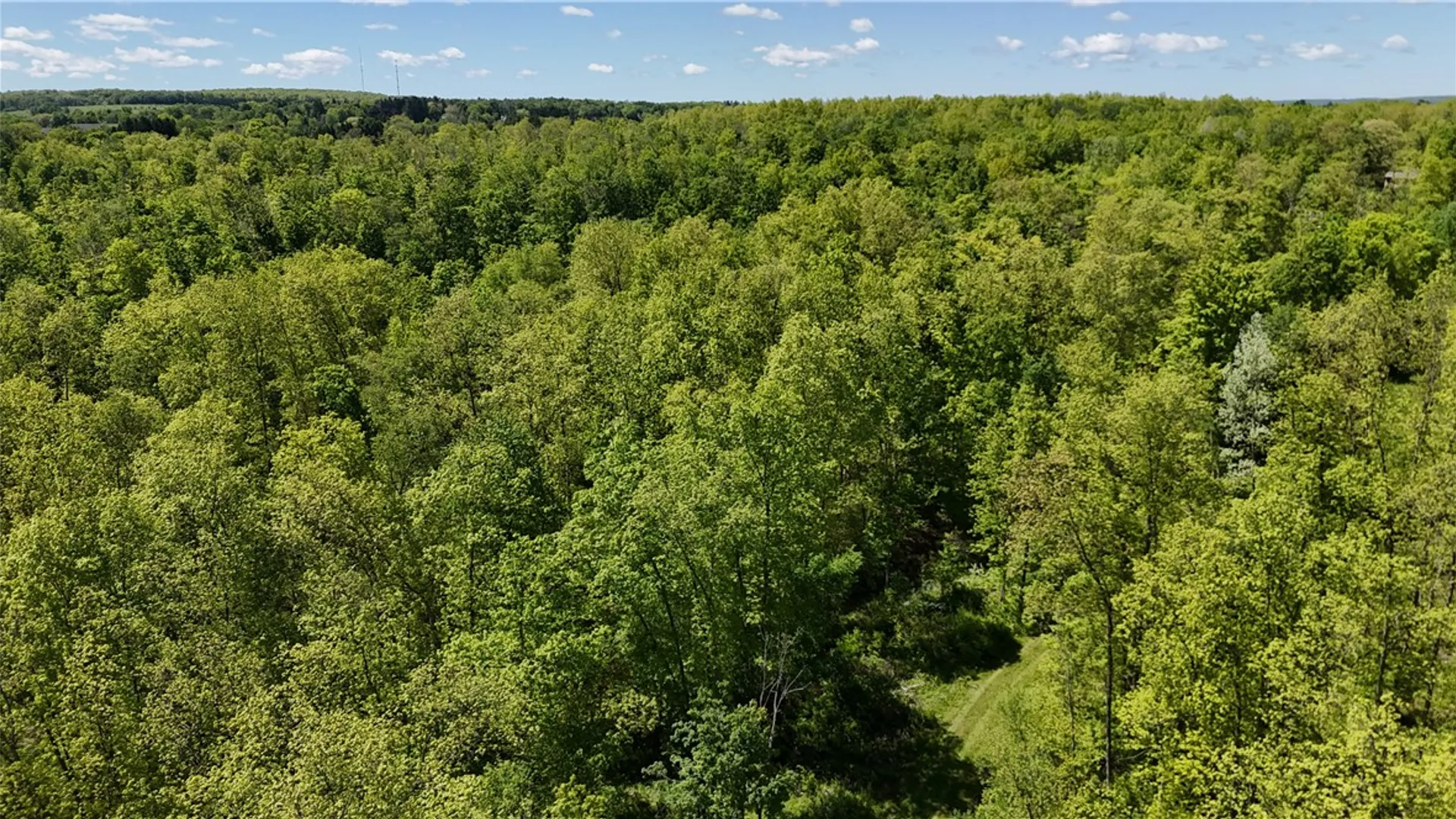 Property at 1645 Forest Avenue Extension, Busti, NY 14701 16