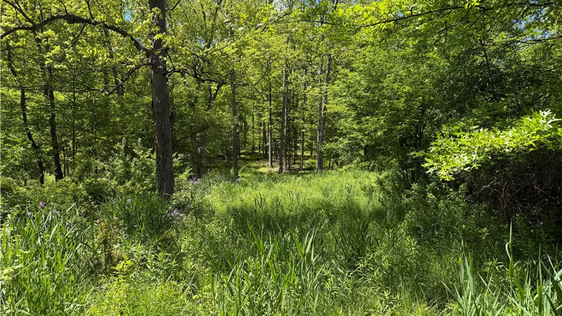 Property at 1645 Forest Avenue Extension, Busti, NY 14701 19