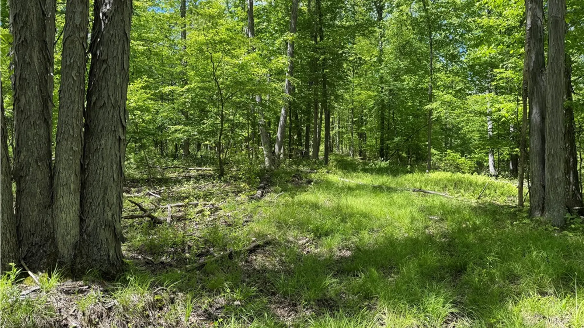Property at 1645 Forest Avenue Extension, Busti, NY 14701 23