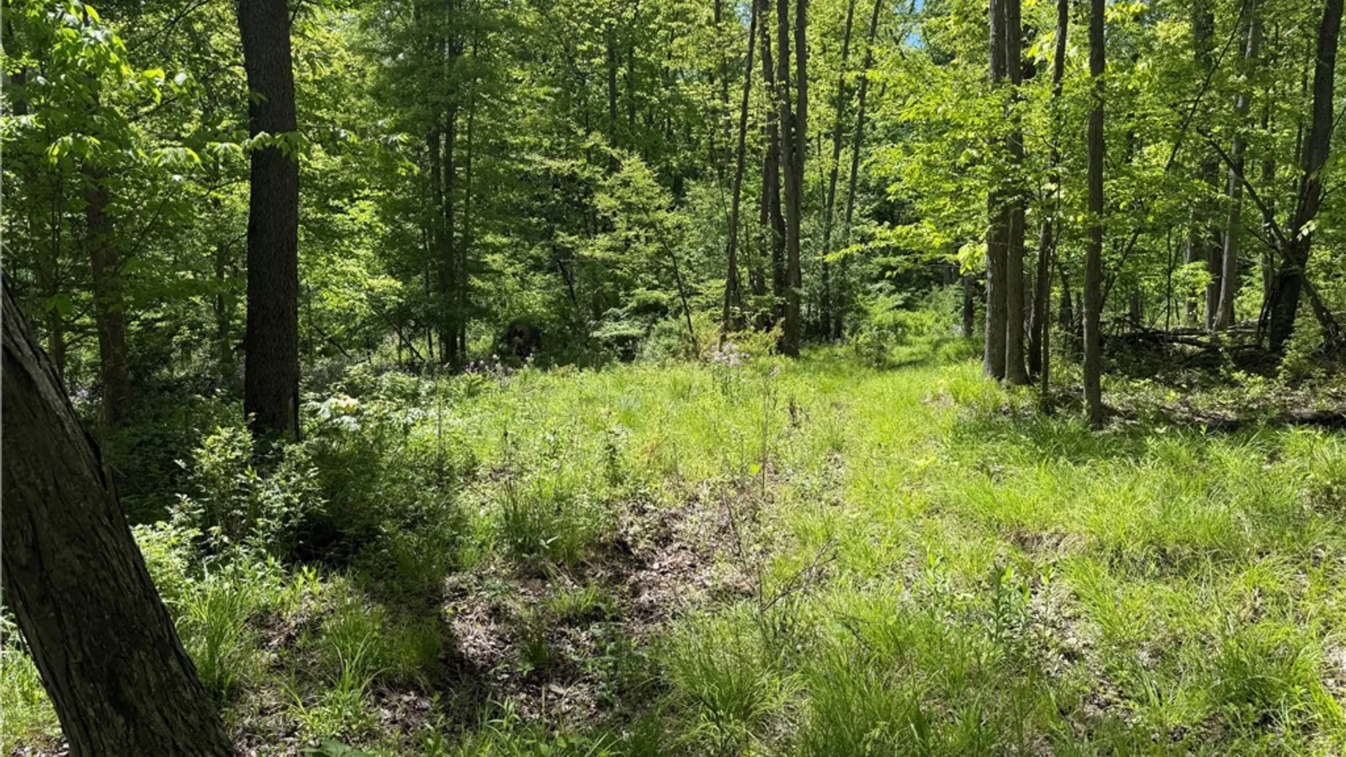 Property at 1645 Forest Avenue Extension, Busti, NY 14701 24