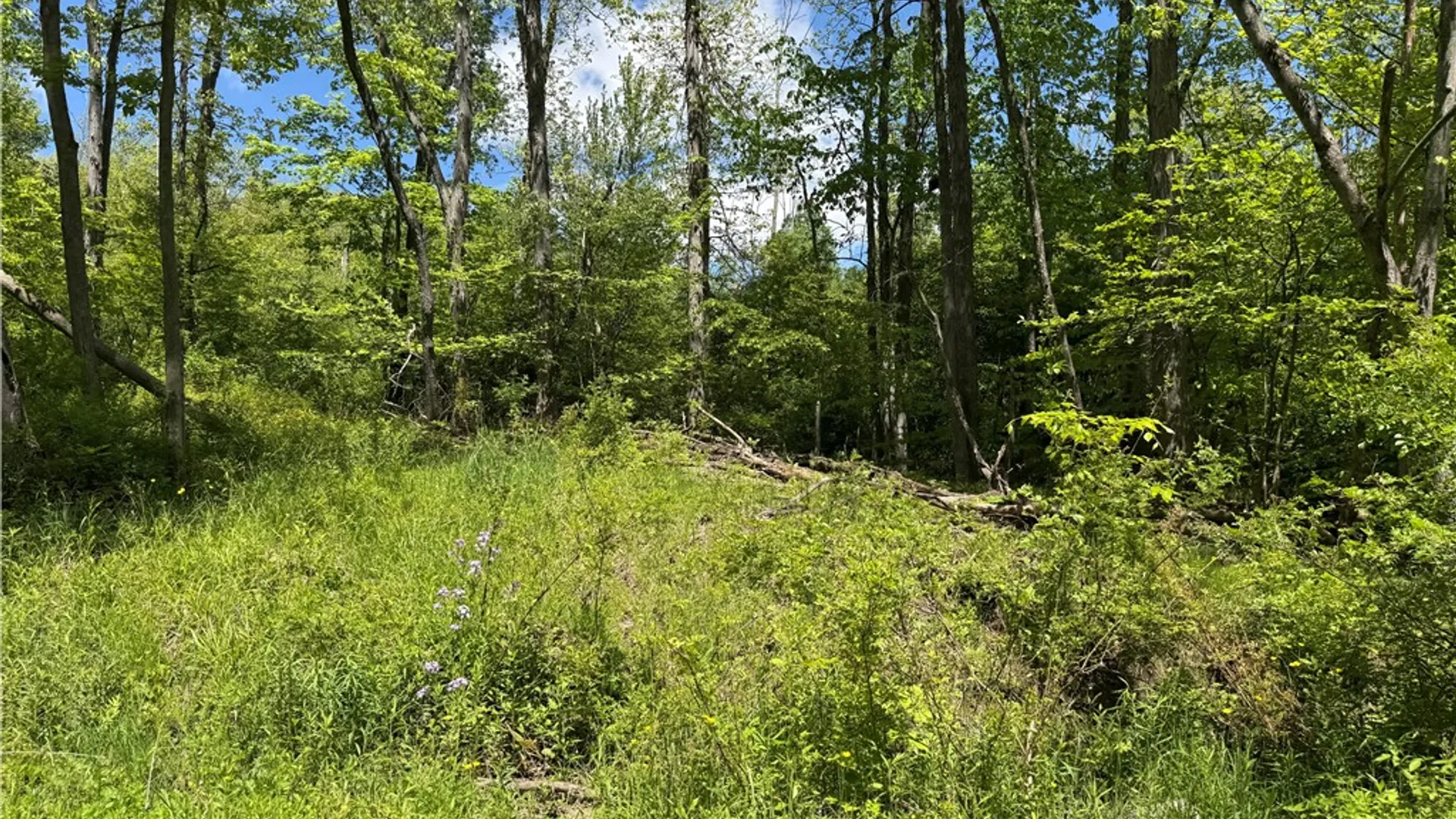 Property at 1645 Forest Avenue Extension, Busti, NY 14701 28