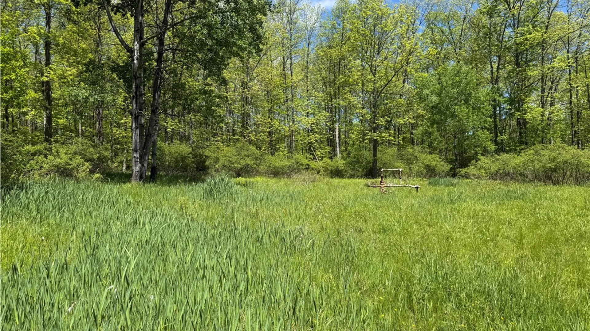 Property at 1645 Forest Avenue Extension, Busti, NY 14701 29