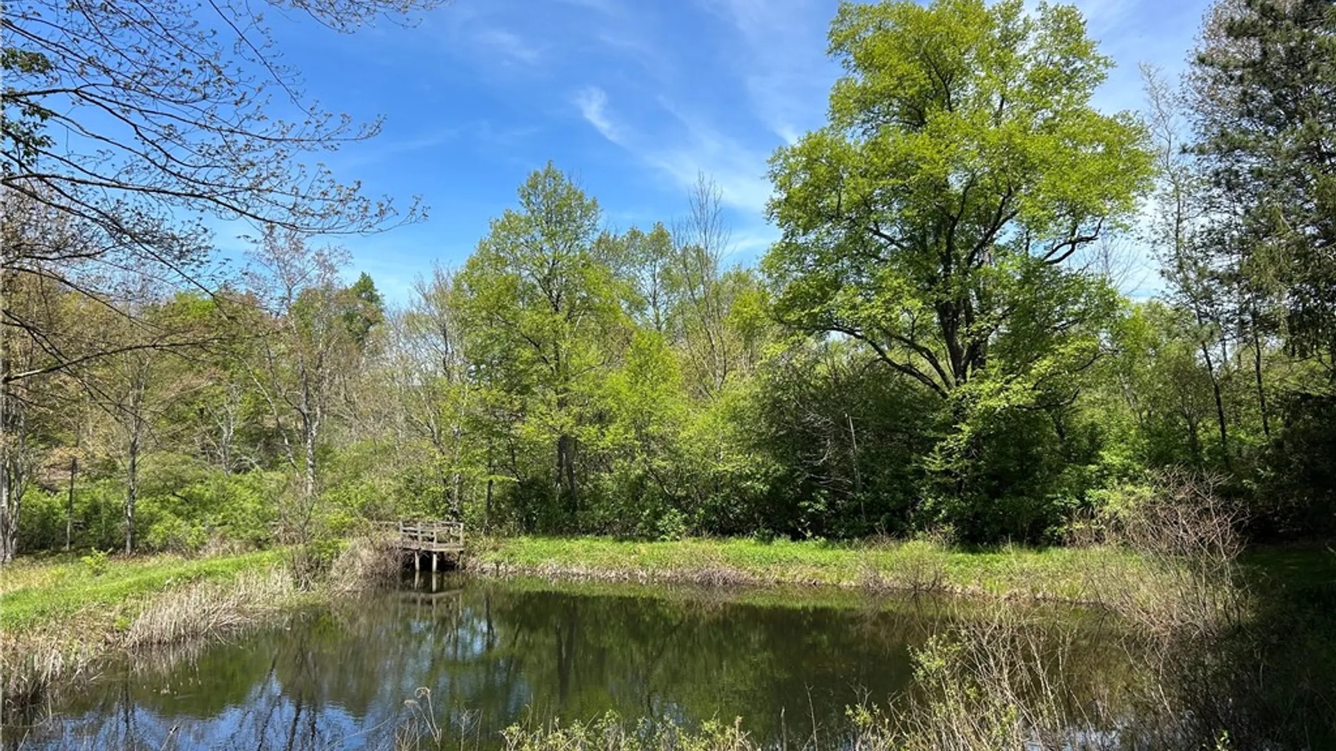 Property at 973 Crane Hill Road, Sidney, NY 13849 43