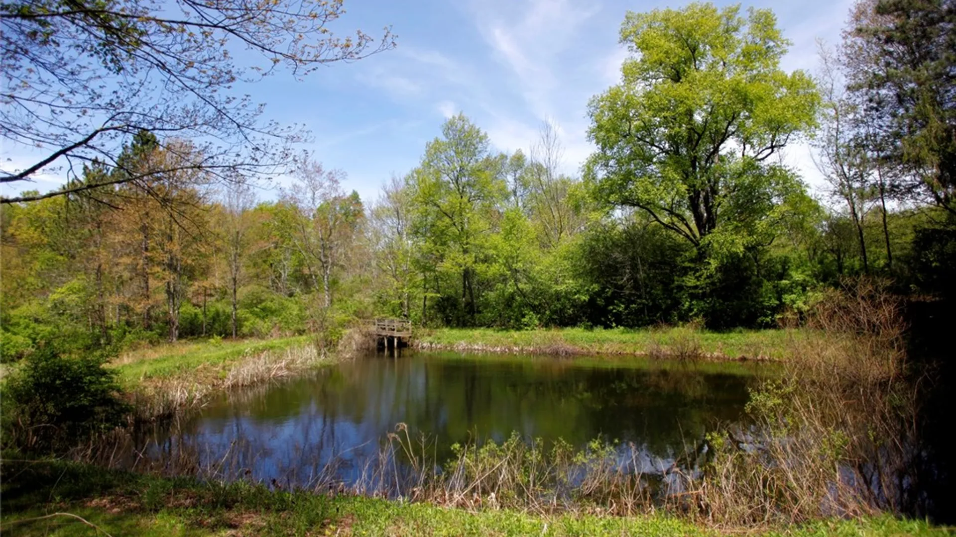Property at 973 Crane Hill Road, Sidney, NY 13849 42