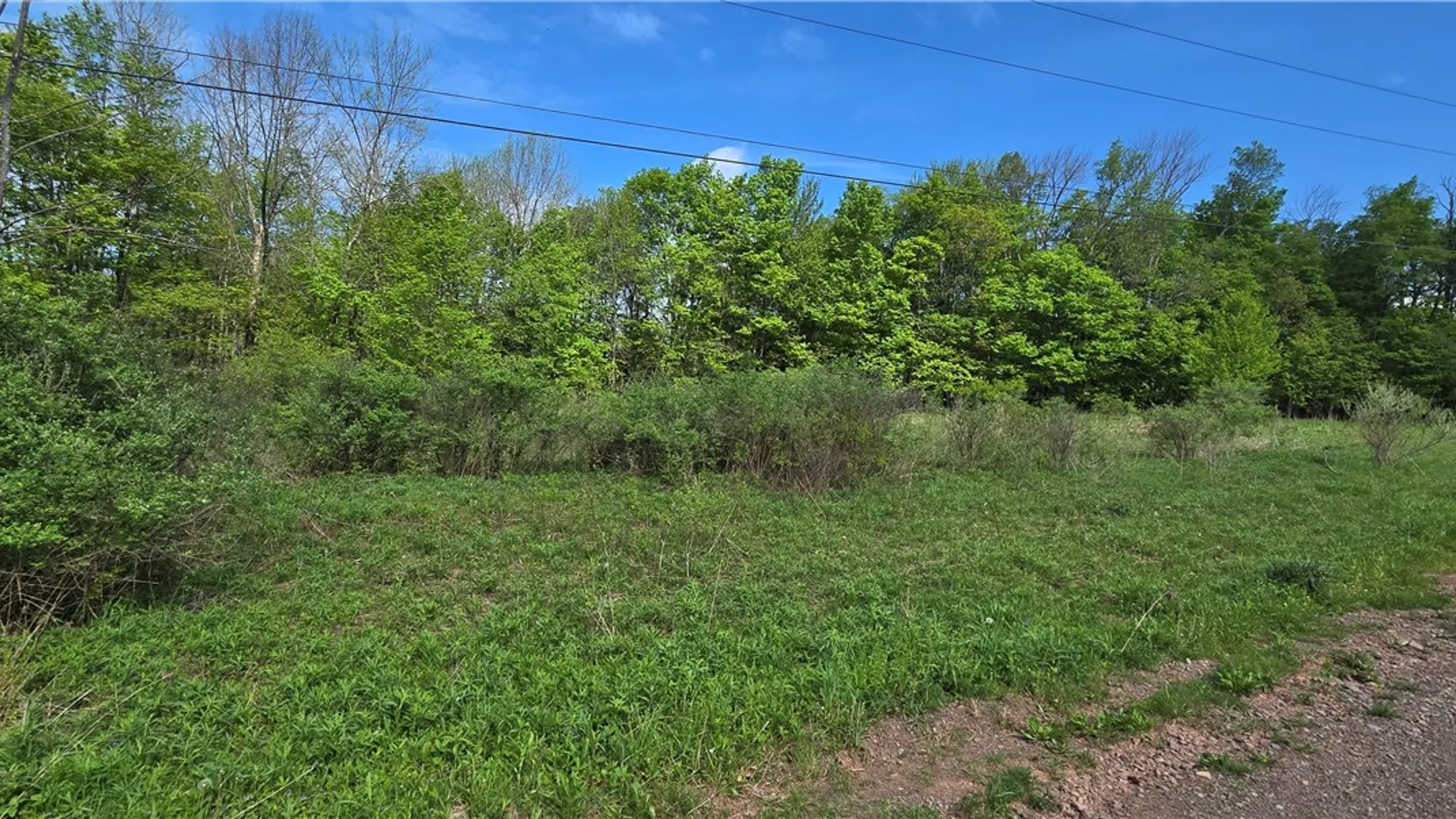 Property at Adams Hill Road, Stamford, NY 12167 6