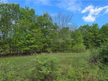 Property at Adams Hill Road, Stamford, NY 12167
