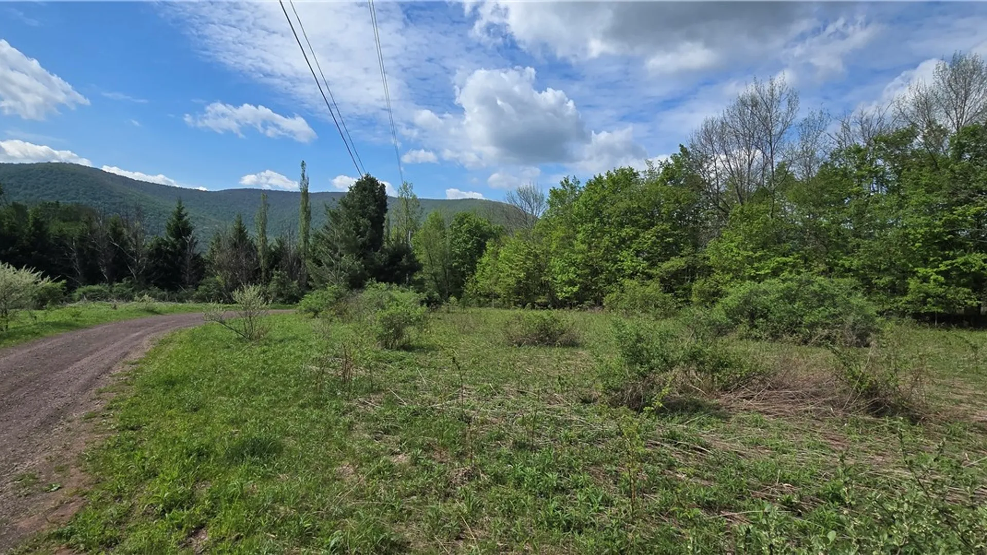 Property at Adams Hill Road, Stamford, NY 12167 7