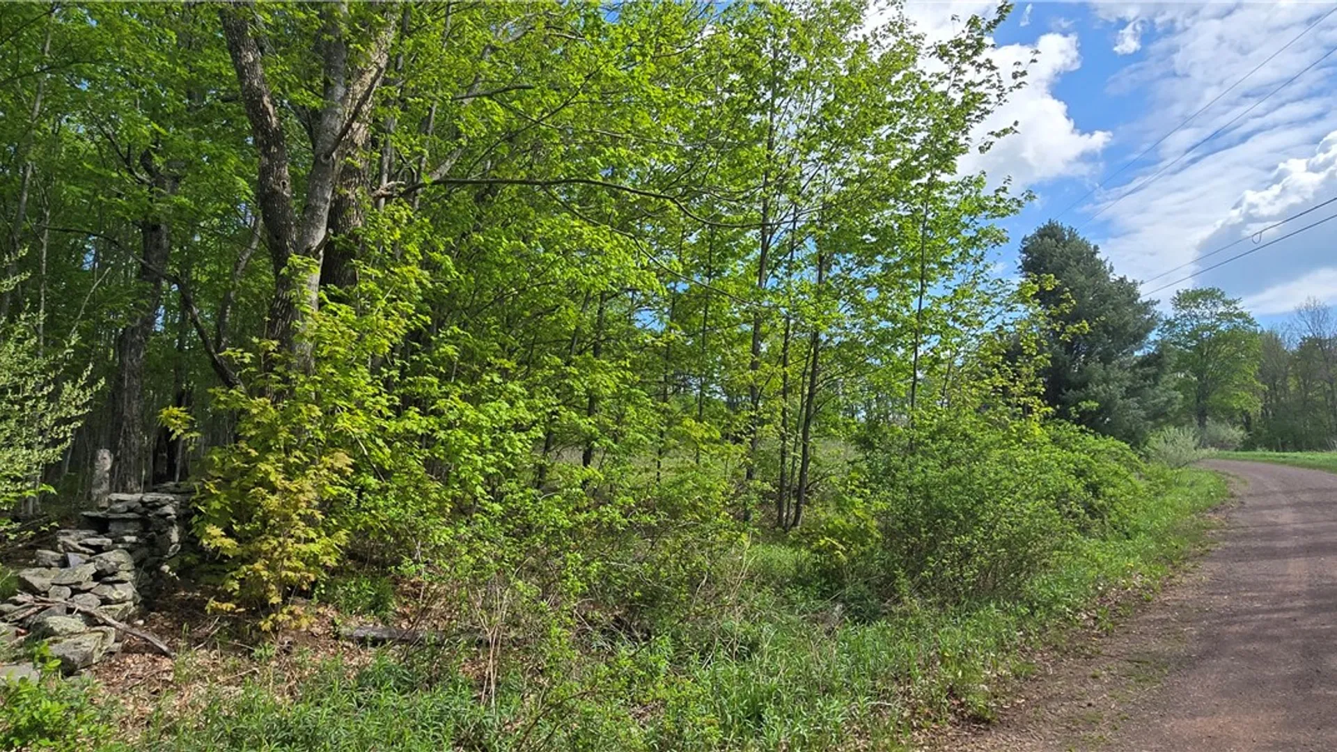 Property at Adams Hill Road, Stamford, NY 12167 8