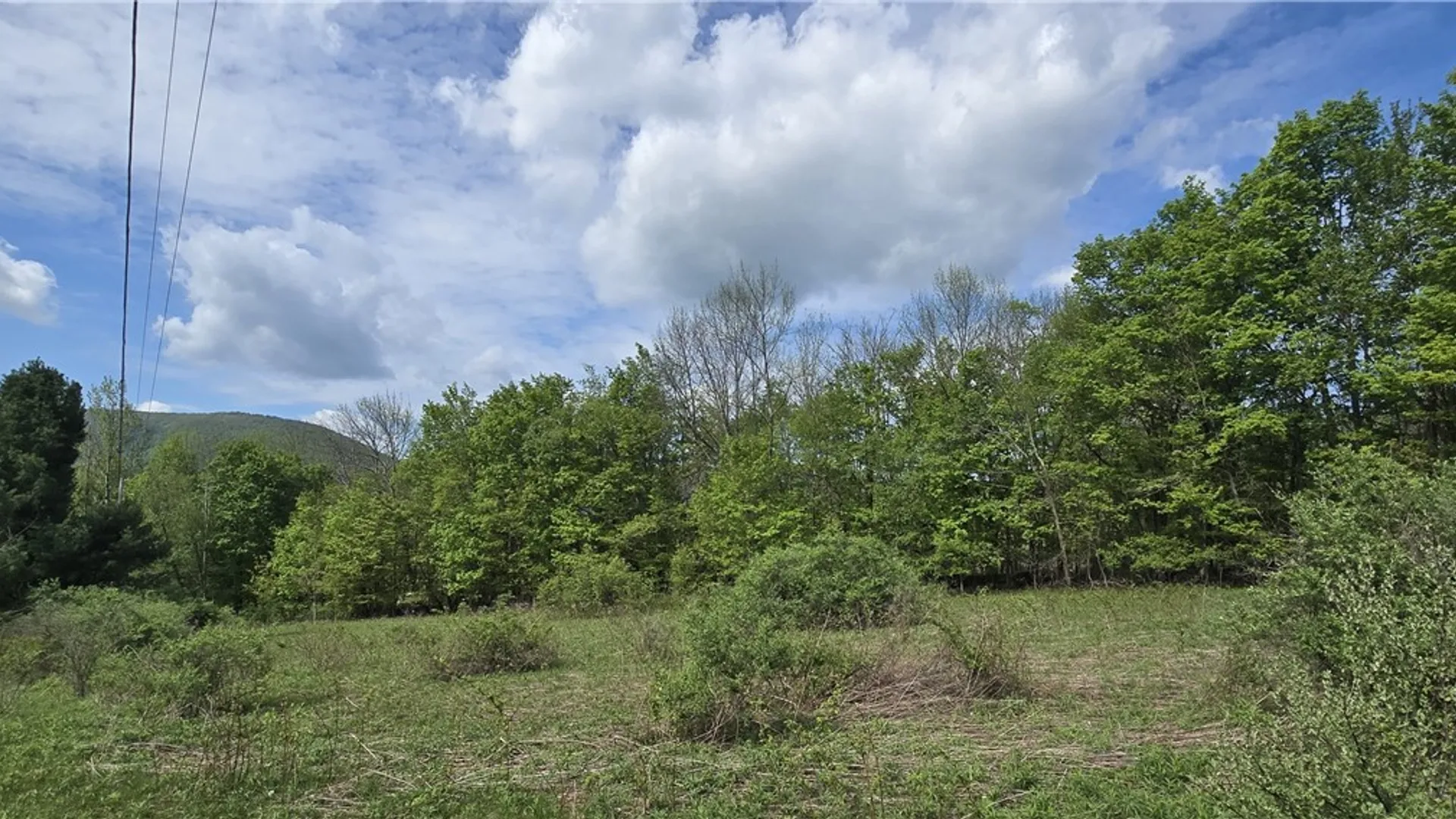 Property at Adams Hill Road, Stamford, NY 12167 9