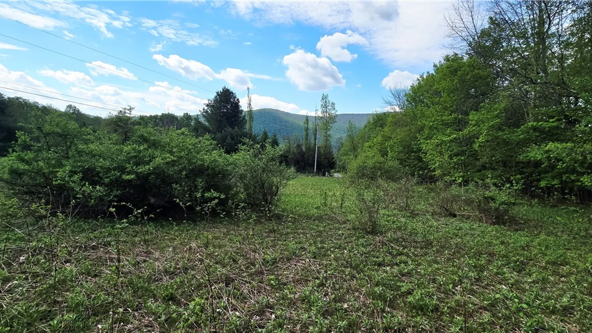 Property at Adams Hill Road, Stamford, NY 12167 10