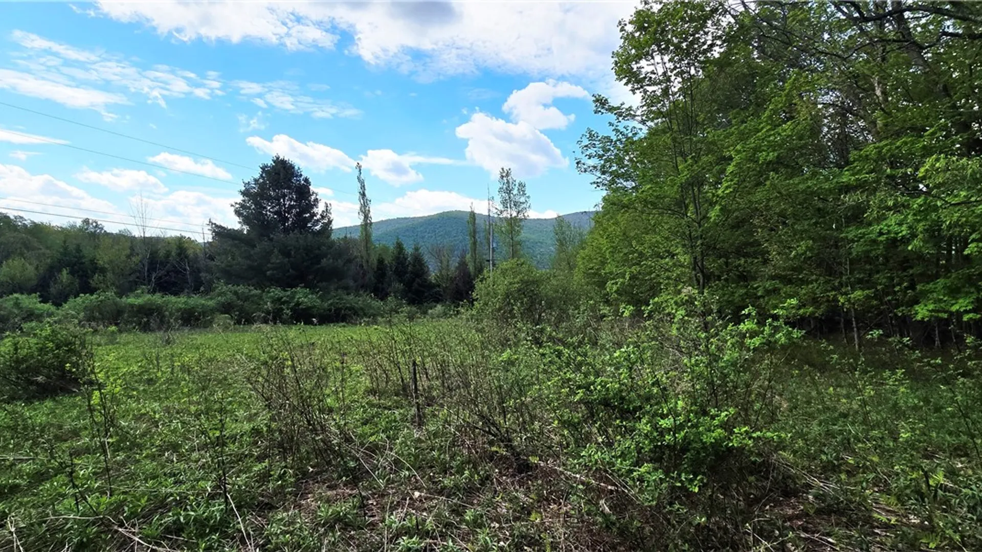 Property at Adams Hill Road, Stamford, NY 12167 11