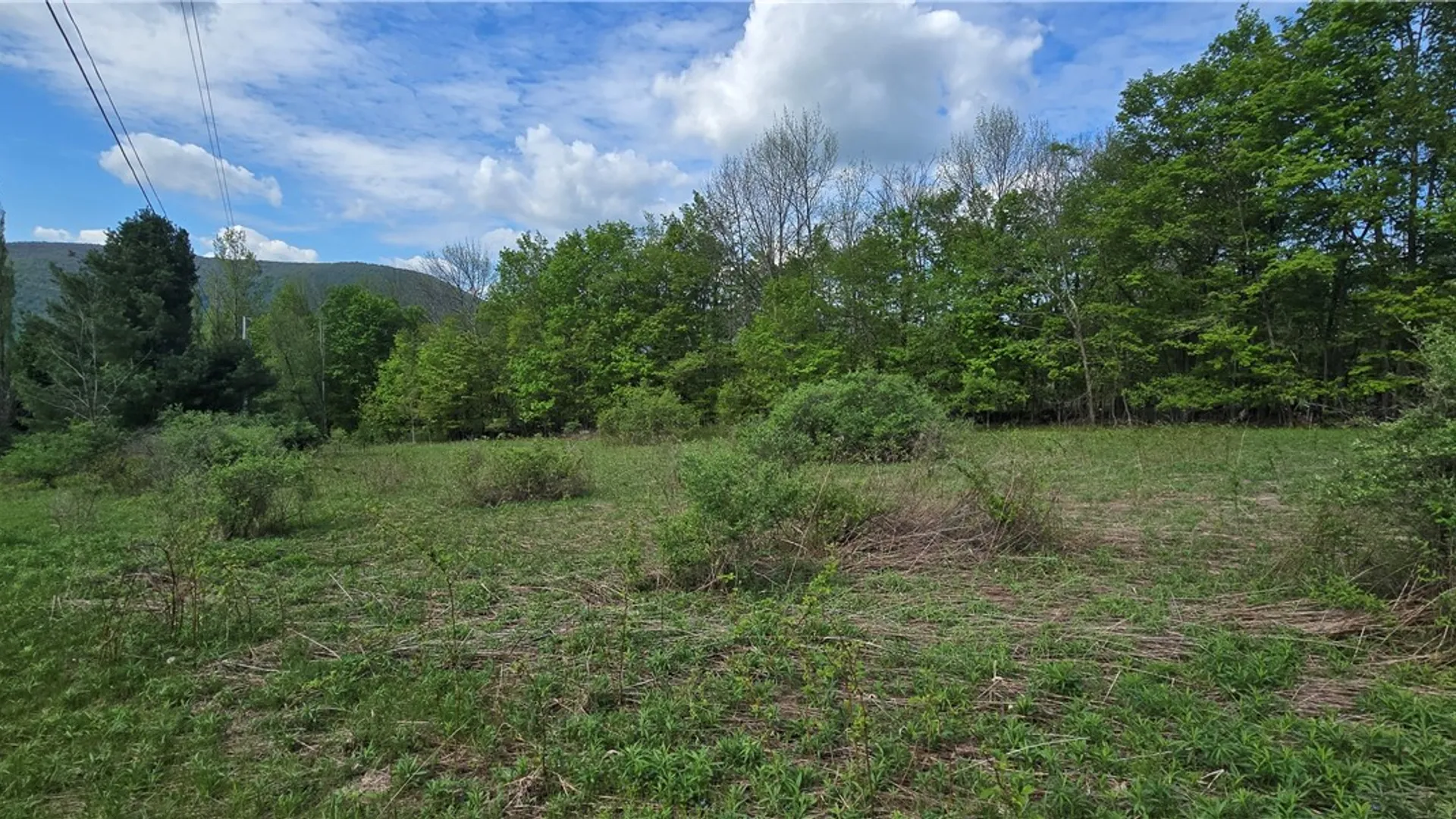 Property at Adams Hill Road, Stamford, NY 12167 12