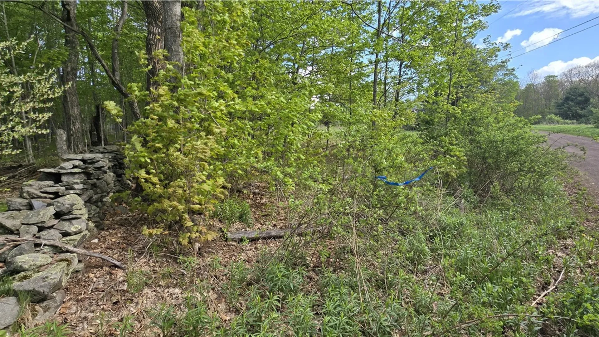 Property at Adams Hill Road, Stamford, NY 12167 4