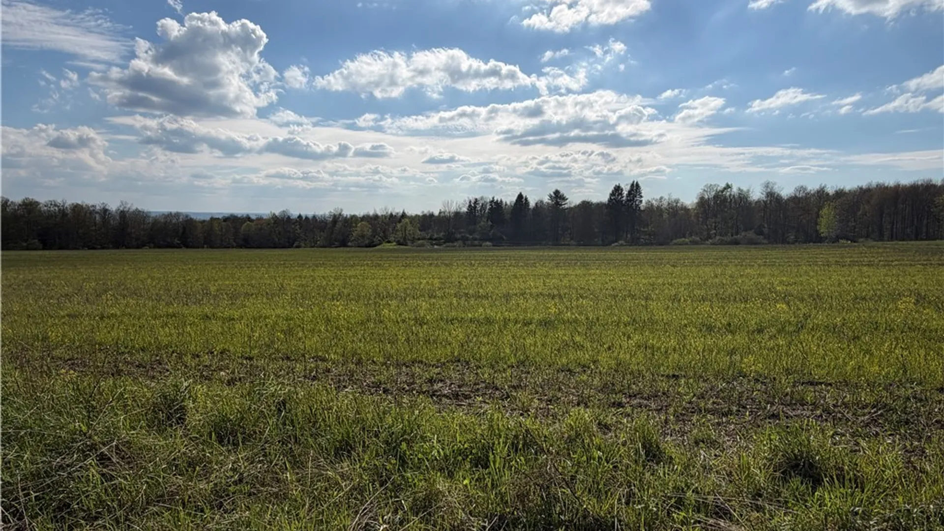Property at 00 Scott Hill - VL Road, Poland, NY 14747 3