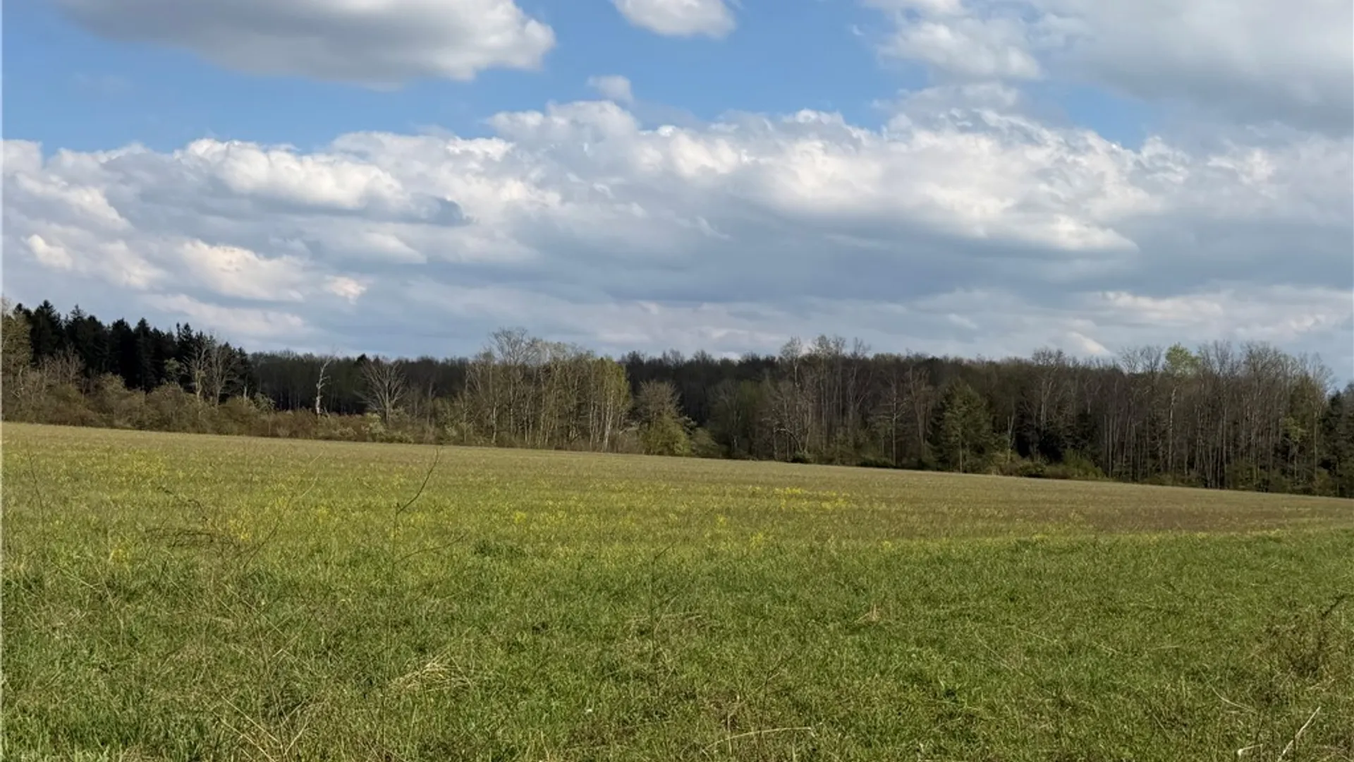 Property at 00 Scott Hill - VL Road, Poland, NY 14747 6