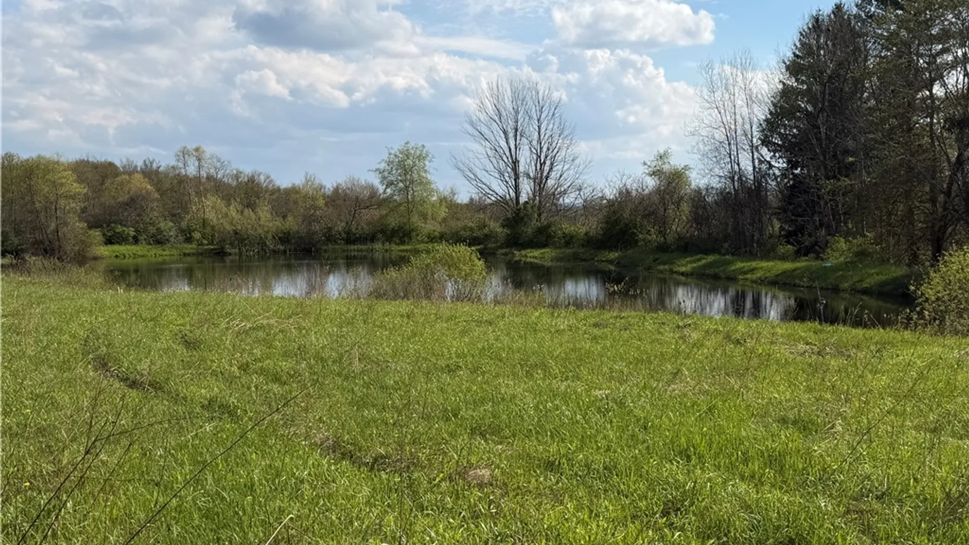 Property at 00 Scott Hill - VL Road, Poland, NY 14747 7
