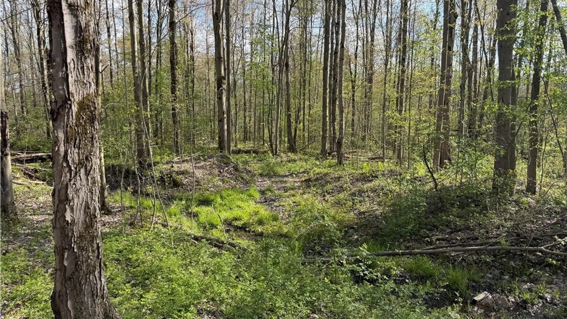 Property at 00 Scott Hill - VL Road, Poland, NY 14747 9