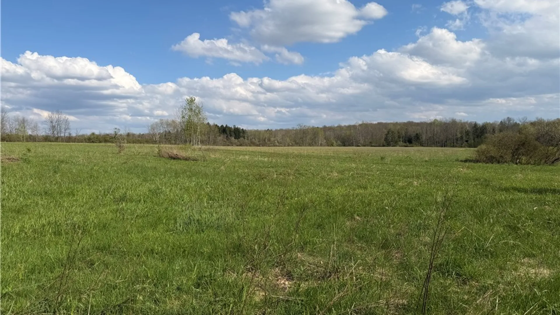 Property at 00 Scott Hill - VL Road, Poland, NY 14747 12