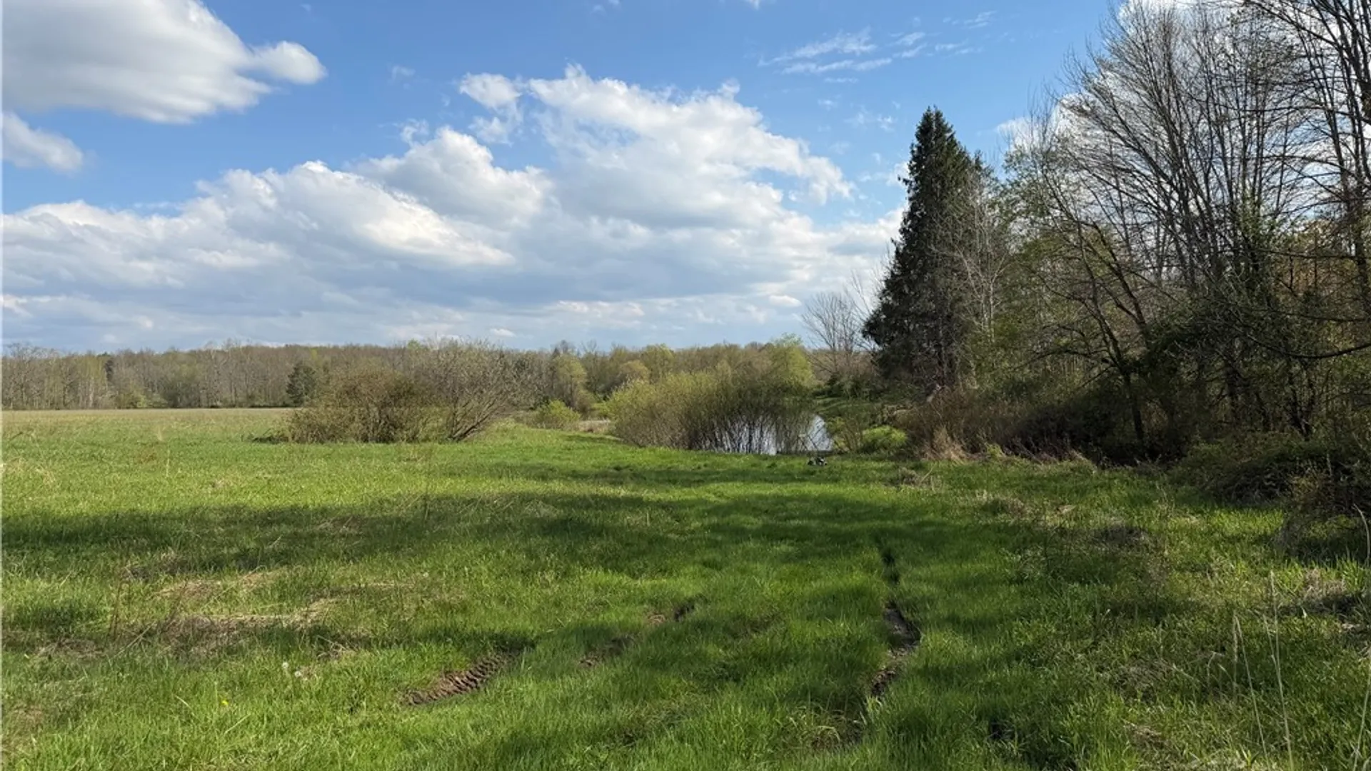 Property at 00 Scott Hill - VL Road, Poland, NY 14747 13
