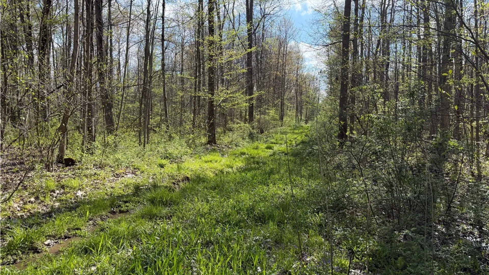 Property at 00 Scott Hill - VL Road, Poland, NY 14747 14