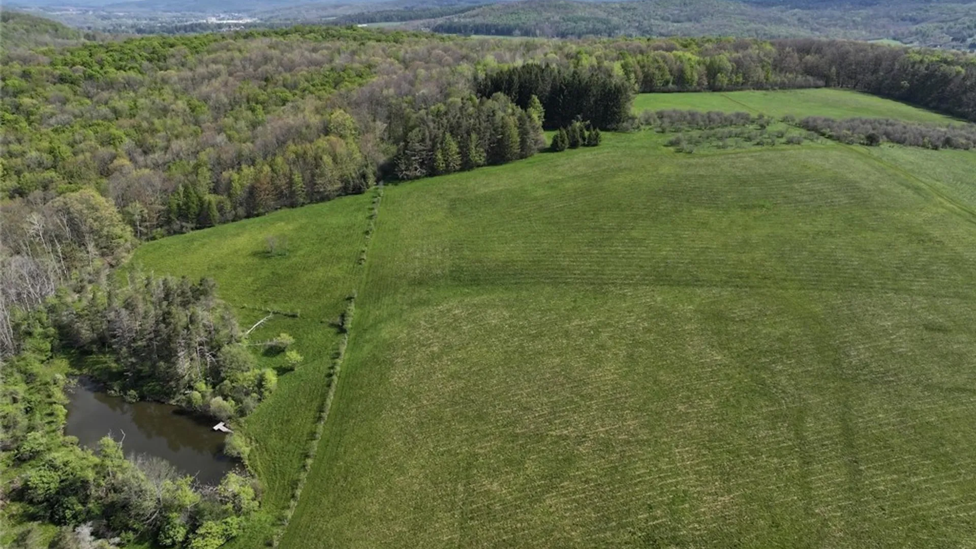 Property at E Hill Road, Franklinville, NY 14737 20