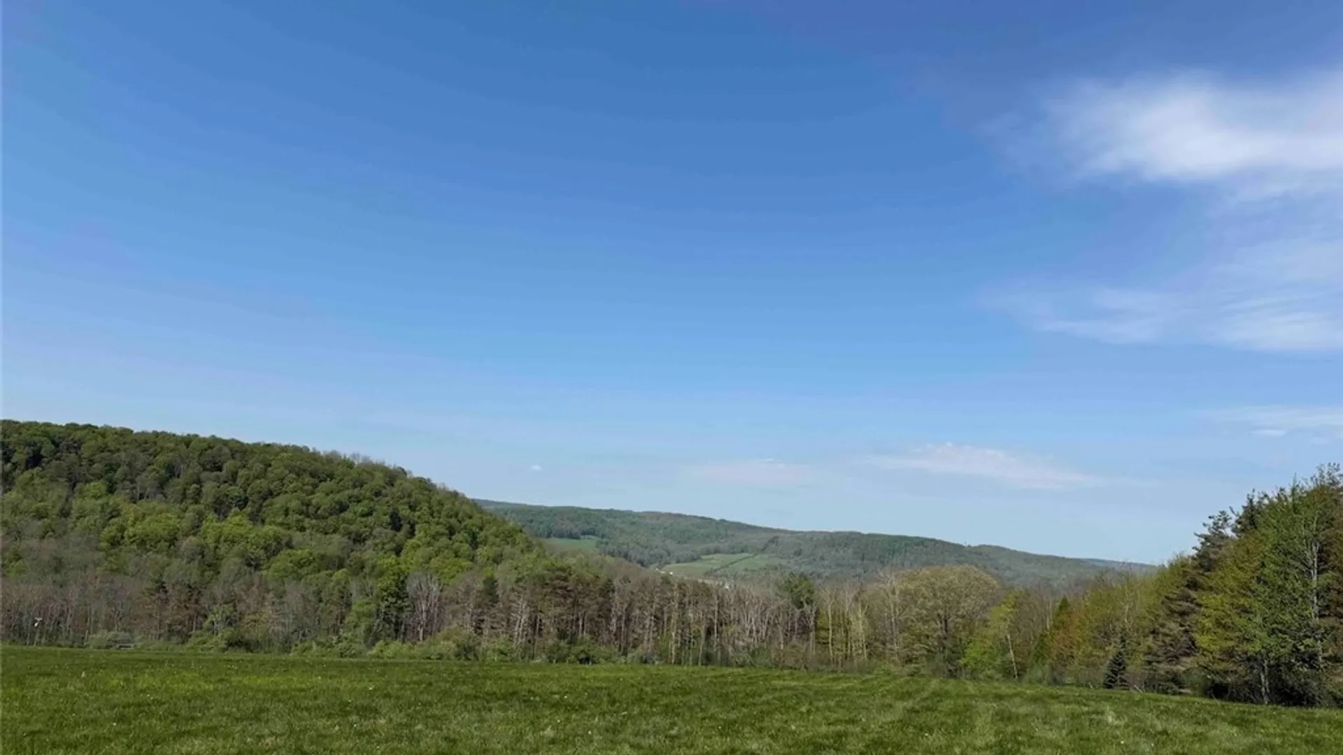 Property at E Hill Road, Franklinville, NY 14737 31