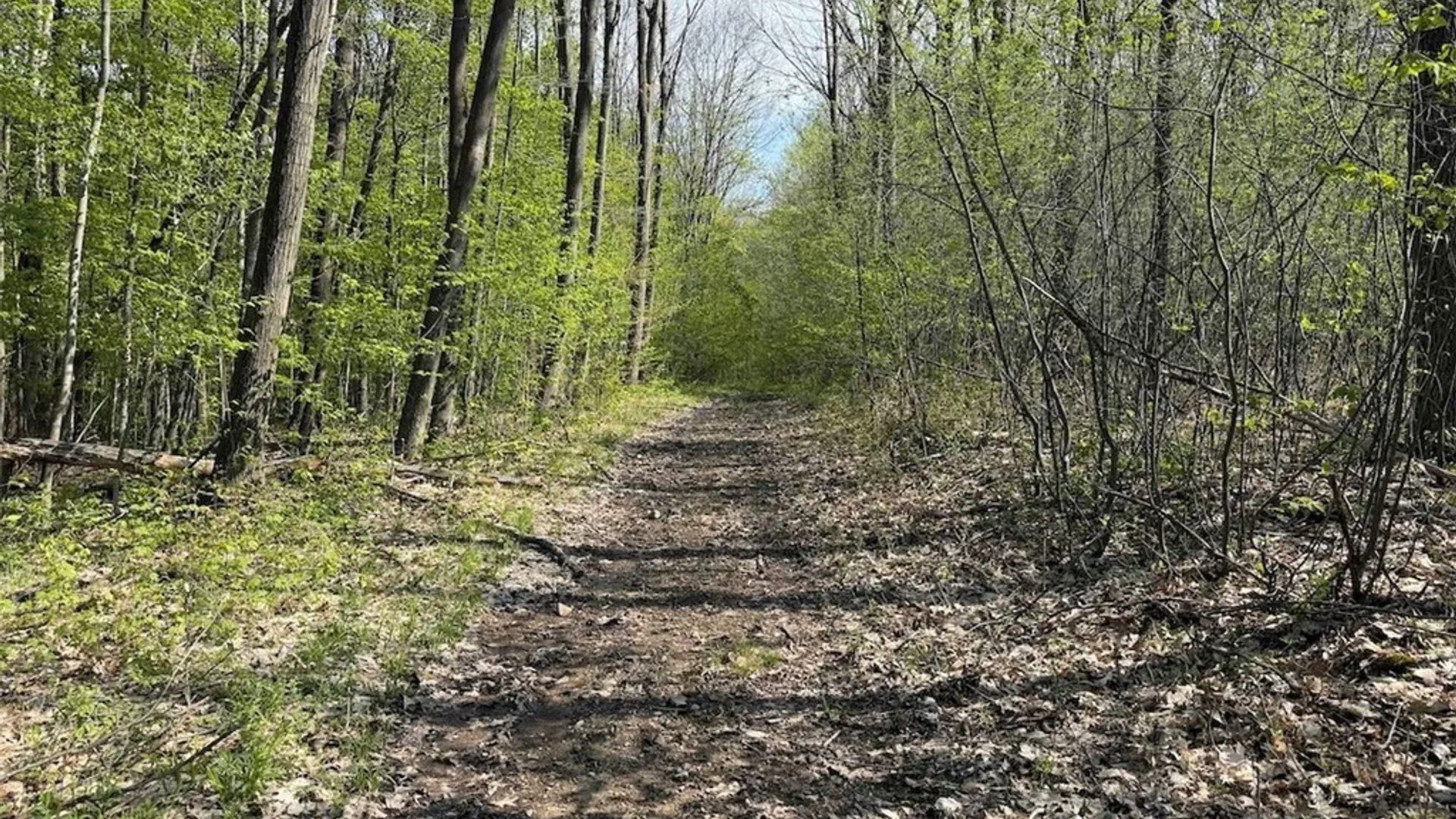 Property at E Hill Road, Franklinville, NY 14737 32
