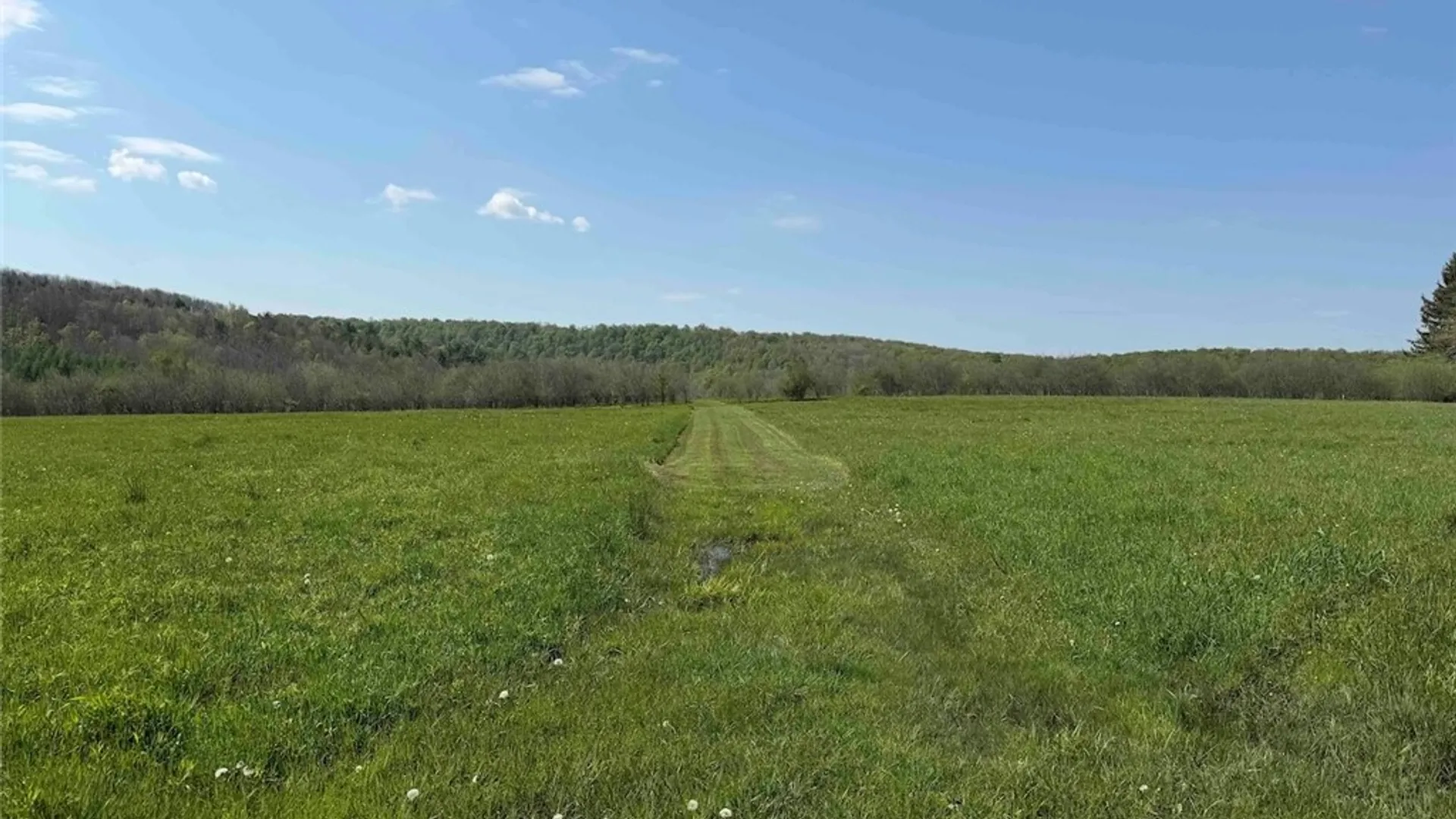 Property at E Hill Road, Franklinville, NY 14737 36