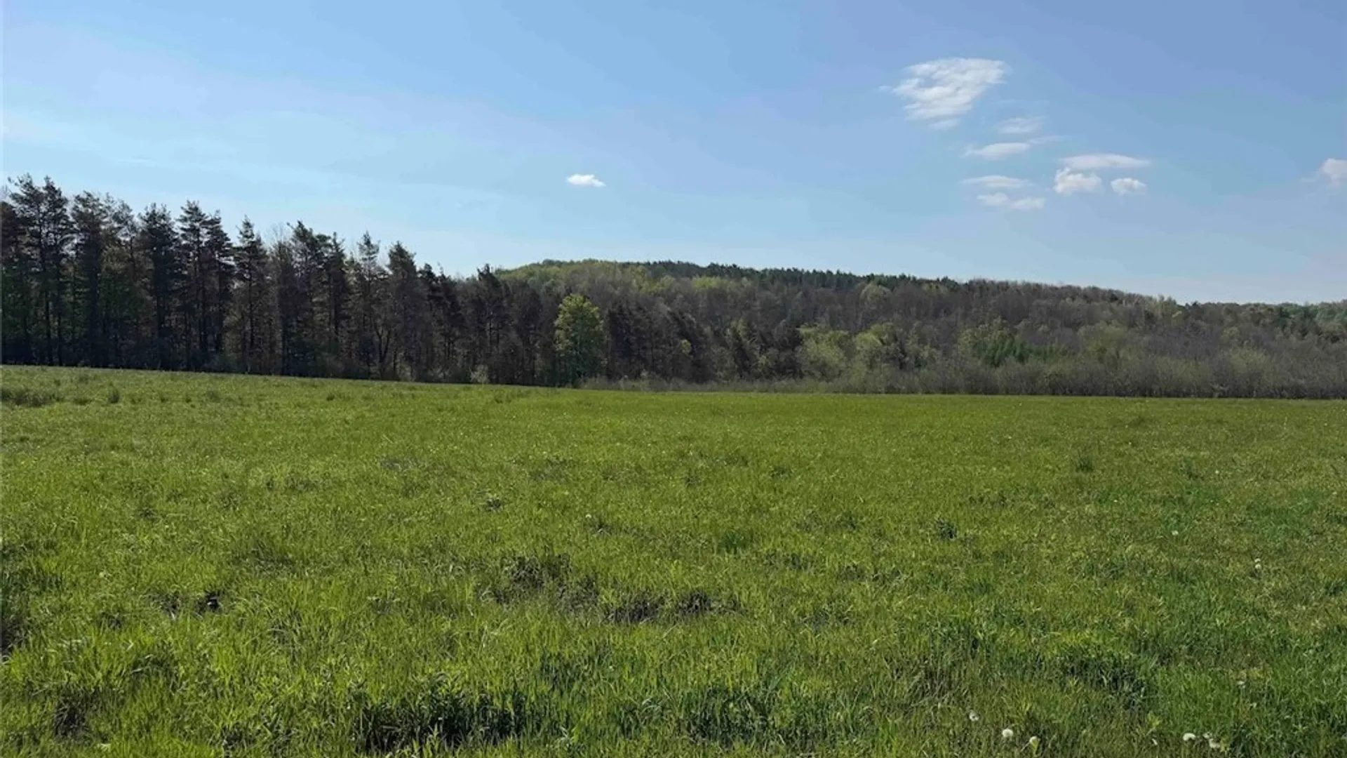 Property at E Hill Road, Franklinville, NY 14737 37